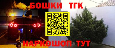 гашик Абинск