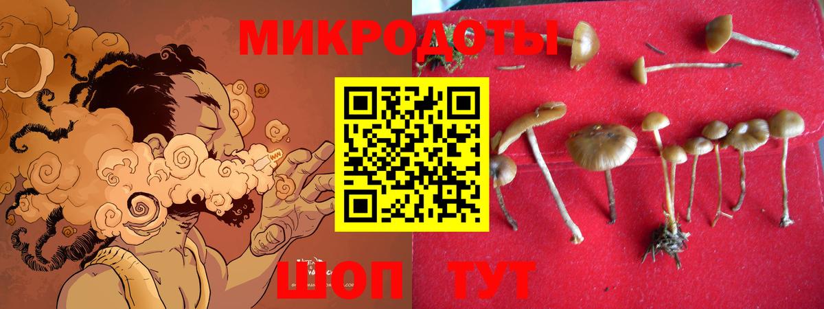 Амурск  Псилоцибиновые грибы GOLDEN TEACHER  купить наркотики цена  Вход с VPN  Псилоцибиновые грибы прущие грибы 